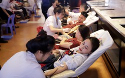 Nhân viên Sun World Ba Na Hills chung tay hiến máu nhân đạo