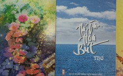 “Hải Vân Hoa bút”- Đóa hoa đẹp của một người xa quê