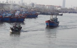 Ngư dân miền Trung hiên ngang ra khơi, mặc lệnh cấm của Trung Quốc