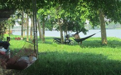 Nắng nóng kéo dài, công viên cây xanh trở thành “cứu tinh” của người dân Huế