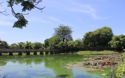Hồ Tịnh Tâm-dấu xưa vườn Ngự trong Hoàng thành Huế lay lắt vì ô nhiễm
