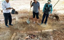 Lăng mộ vợ vua Tự Đức bị san lấp: Họ Nguyễn Phước tộc kiến nghị khôi phục lại tại vị trí cũ
