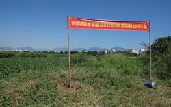 Bàn giao 12,7 ha đất đã được xử lý dioxin tại sân bay quốc tế Đà Nẵng