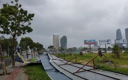 Cây xanh, bảng hiệu, pa-nô...ngã đổ la liệt ở Đà Nẵng