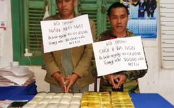 Chặn đường dây vận chuyển 30.000 viên ma túy tổng hợp từ Lào về Việt Nam