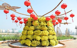 Người dân Đà Nẵng phấn khởi đón Tết Mậu Tuất với đường hoa rực rỡ bên sông Hàn