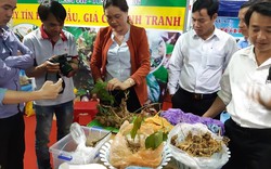 Xuất hiện hai củ sâm “khủng” tại phiên chợ sâm Ngọc Linh