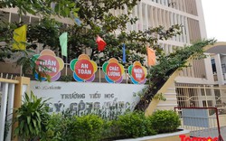 Đà Nẵng: Điều chuyển Hiệu trưởng trường TH Lý Công Uẩn sang Phòng GD&ĐT quận