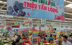 Thêm doanh nghiệp “giải cứu” dưa hấu cho người dân Quảng Nam, Quảng Ngãi