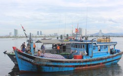 Cứu 8 thuyền viên cùng tàu cá Đà Nẵng trôi dạt trên biển