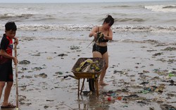 Biển Mũi Né tràn ngập rác, khách hủy đặt phòng