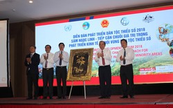 Diễn đàn phát triển dân tộc thiểu số năm 2018: Hướng đến phát triển bền vững