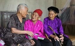 Chuyện về 3 chị em ruột được ví như “3 cây đại thụ” ở Nghệ An