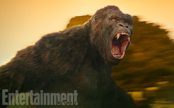 Lộ diện gương mặt khỉ Kong trong Kong: Skull Island