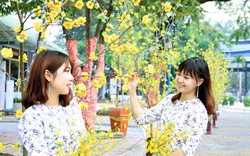 Thưởng thức Tết hai miền tại Công viên nước Hồ Tây
