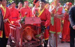Lễ hội 2017, Bắc Ninh không chém lợn giữa sân đình