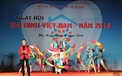 Sôi nổi các hoạt động chào mừng Ngày hội Gia đình Việt Nam năm 2017
