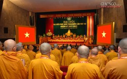 Hòa thượng Thích Phổ Tuệ tiếp tục được suy tôn Pháp chủ Giáo hội Phật giáo Việt Nam