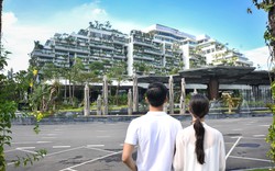 Chuẩn bị khai trương tòa nhà có nhiều vườn treo nhất Việt Nam