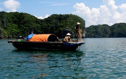 Quảng Ninh: Cấm khai thác thủy sản trong vùng Di sản vịnh Hạ Long 