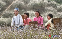 “Nụ cười Việt Nam”, những khoảnh khắc đầy cảm xúc
