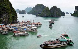 Cảng Tuần Châu chỉ được thu phí khi có ý kiến của UBND Quảng Ninh