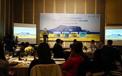 Đảo Jeju (Hàn Quốc) thành lập Sở Du lịch tại Việt Nam