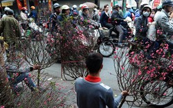 CNN: Chợ hoa Quảng An là điểm đến không thể bỏ qua dịp năm mới