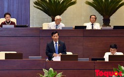 Phó Thủ tướng, Bộ trưởng giải đáp minh bạch, rõ ràng về Sơn Trà