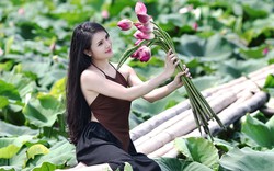 Điểm danh những đầm sen là “thiên đường chụp ảnh” ở Hà Nội
