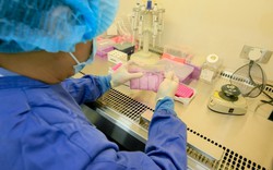 Phương pháp xét nghiệm gen công nghệ mới có thể phát hiện được 16 loại ung thư