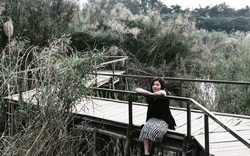 “Mê mẩn” những địa điểm chụp ảnh với cỏ lau ở Hà Nội