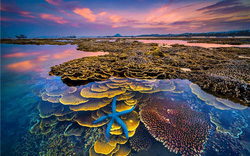 “Sắc màu của biển” giành giải nhất cuộc thi ảnh nghệ thuật Du lịch toàn quốc lần thứ 8 