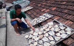 Thanh Hóa:  Người nuôi cá lại “khốn đốn“