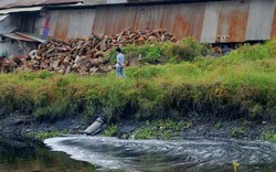TP.HCM: Nước thải công nghiệp vẫn luồn lách trong khu dân cư