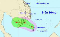 TP.HCM: Chỉ đạo “khẩn” ứng phó áp thấp nhiệt đới trên biển Đông