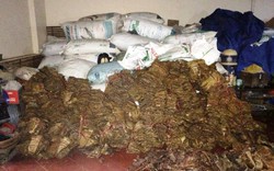 Nghệ An: Thu giữ 2,6 tấn măng khô nghi tẩm lưu huỳnh