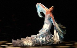  ​Nghệ sĩ Tây Ban Nha tái ngộ múa flamenco đến khán giả Việt