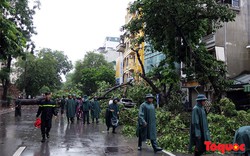 Sở GDĐT Hà Nội triển khai công tác phòng tránh, ứng phó cơn bão số 7