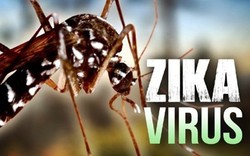 Phát hiện thêm một ca nhiễm virus Zika tại TP.HCM