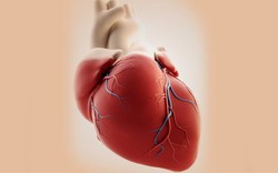 Nhận biết sớm dấu hiệu nhồi máu cơ tim và cách xử trí