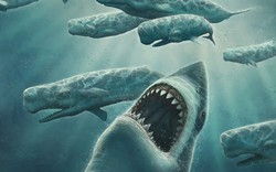 Siêu cá mập siêu bạo chúa Megalodon trong “The Meg” có thực sự từng tồn tại?