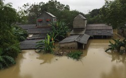 Thừa Thiên – Huế phân bổ 500 tấn gạo hỗ trợ người dân bị bão lũ