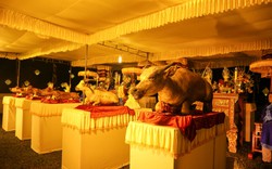Thừa Thiên - Huế tổ chức Lễ tế Xã Tắc cầu “Quốc thái, dân an“