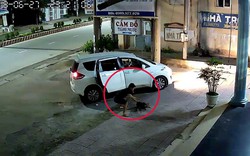 Cẩu tặc lên đời: Đi ô tô trộm chó