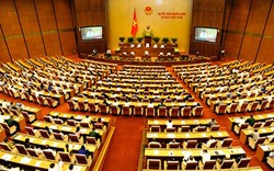 Triển khai thực hiện Nghị quyết về hoạt động chất vấn của Quốc hội