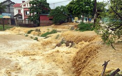 Phú Thọ: Toàn cảnh thiệt hại do bão số 3