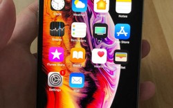 Dân mạng “ầm ầm” trên tay iPhone Xs sắp ra mắt