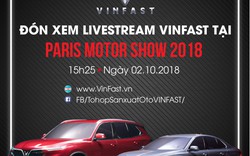 Dân Việt đón chờ ô tô thương hiệu Việt - VinFast
