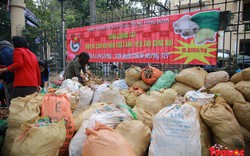 “Giải cứu” 20 tấn gừng trong vòng một ngày giúp người dân Xín Mần